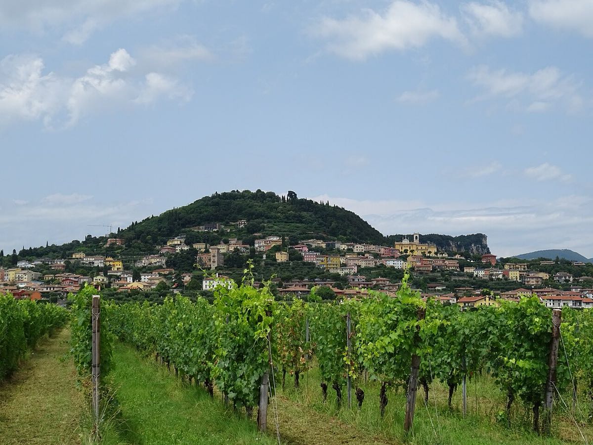 Cavaion Veronese zwischen Weinbergen